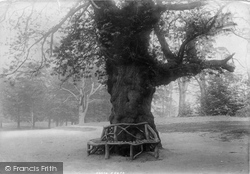 Dunham Park 1897, Bowdon