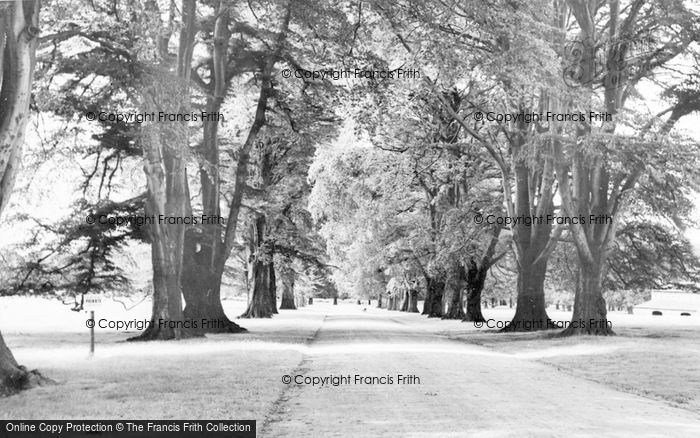Photo of Bowdon, Dunham Park c.1960