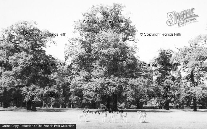 Photo of Bowdon, Dunham Park c.1965