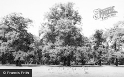 Dunham Park c.1965, Bowdon