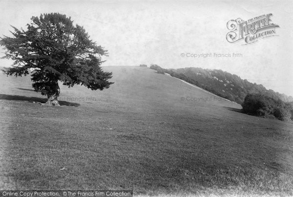 Photo of Box Hill, 1903