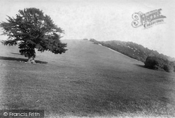 1903, Box Hill