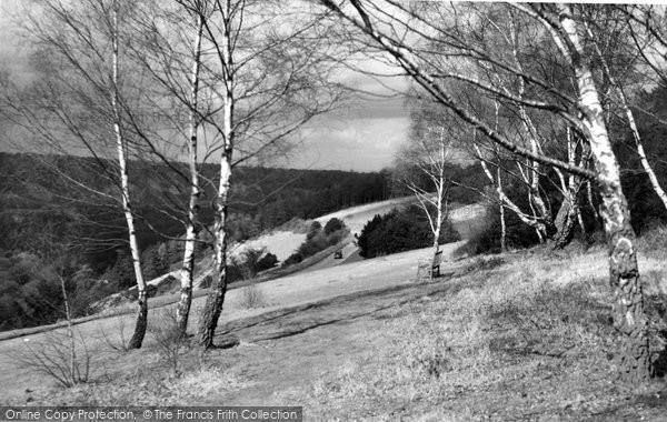 Photo of Box Hill, Above The Zig Zag Road c.1955