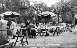 Fort Tea Rooms And Gardens c.1965, Box Hill