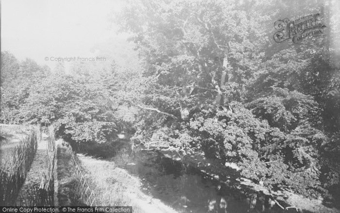 Photo of Box Hill, From Burford Bridge 1888