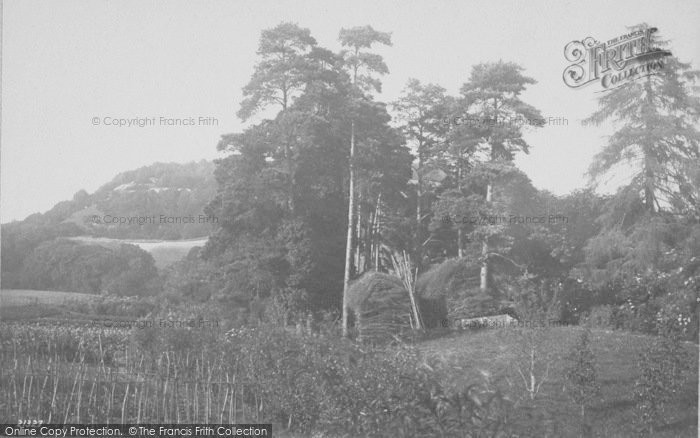 Photo of Box Hill, From Pixham Lane 1888