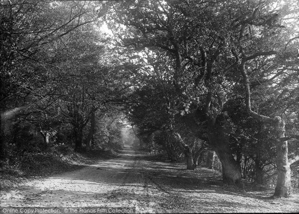 Photo of Box Hill, The Avenue 1906