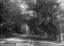 The Avenue 1906, Box Hill