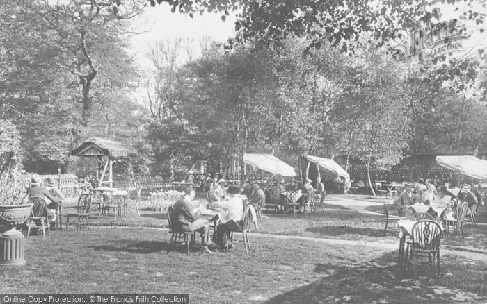 Photo of Box Hill, The Fort Tea Gardens 1922