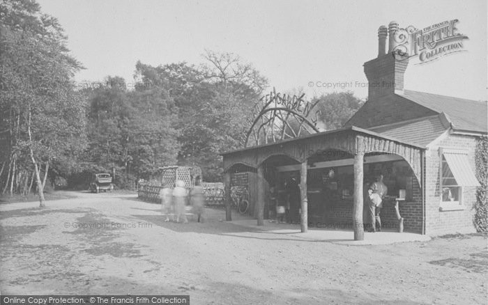 Photo of Box Hill, The Fort Tea Gardens 1922