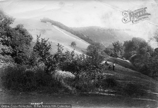 Photo of Box Hill, The Slopes 1903