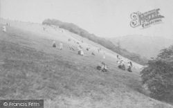 The Slopes 1906, Box Hill