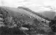 The Slopes 1906, Box Hill