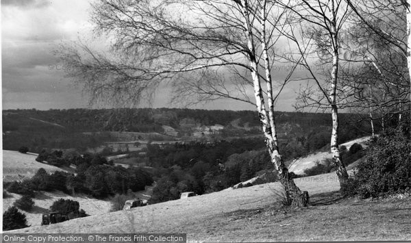 Photo of Box Hill, The Slopes c.1955