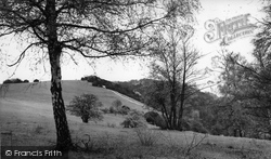 The Slopes c.1955, Box Hill