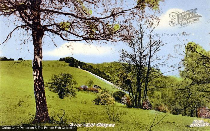 Photo of Box Hill, The Slopes c.1955