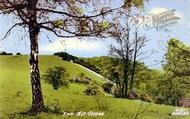 The Slopes c.1955, Box Hill
