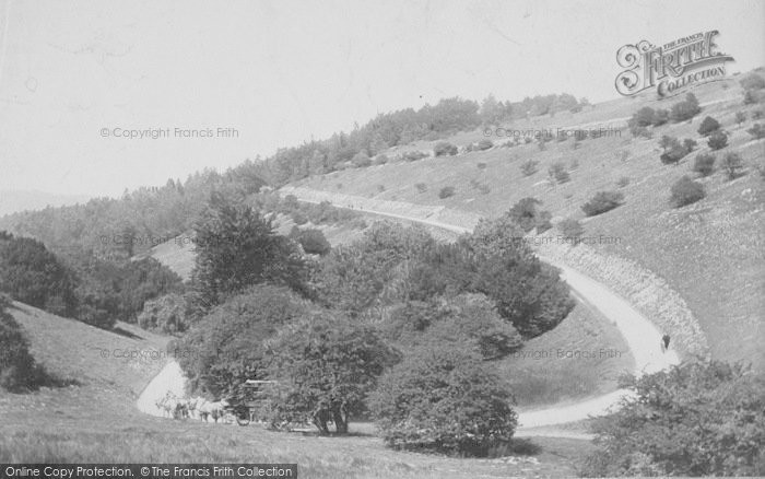 Photo of Box Hill, The Zig Zags 1890