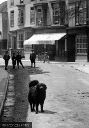 High Street, A Friendly Dog 1902, Braintree