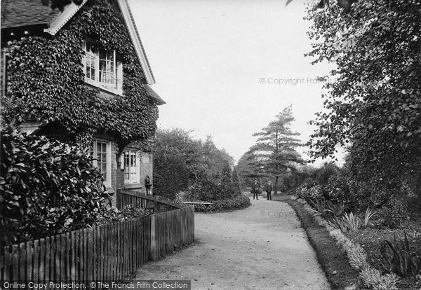 Photo of Braintree, Public Gardens 1909