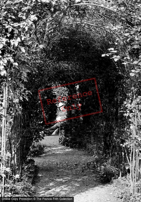 Photo of Braintree, Public Gardens, Through The Hedge Tunnel 1909