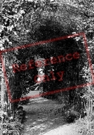 Public Gardens, Through The Hedge Tunnel 1909, Braintree