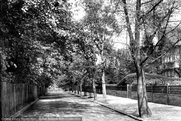 Photo of Braintree, The Avenue 1901