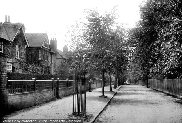 Photo of Braintree, The Avenue 1906