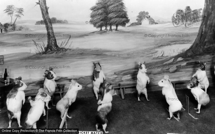 Photo of Bramber, Museum, Guinea Pigs' Cricket Match c.1930