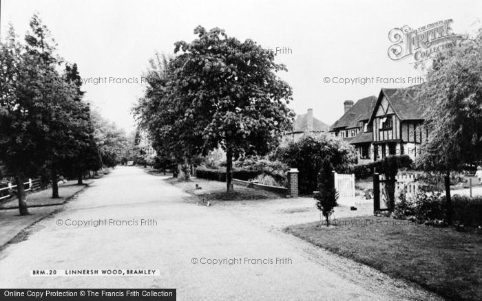 Photo of Bramley, Linnersh Wood c.1955