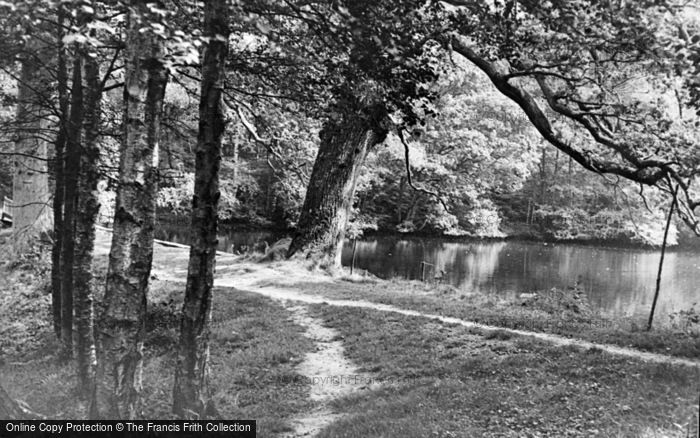 Photo of Bramley, Wintershall c.1955