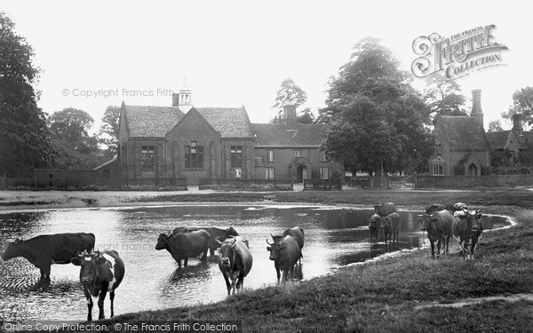 Photo of Brampton, Pond And Schools 1907