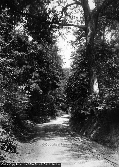 Photo of Bramshott, Bramshott Lane 1901