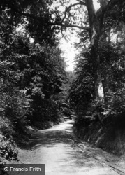 Bramshott Lane 1901, Bramshott
