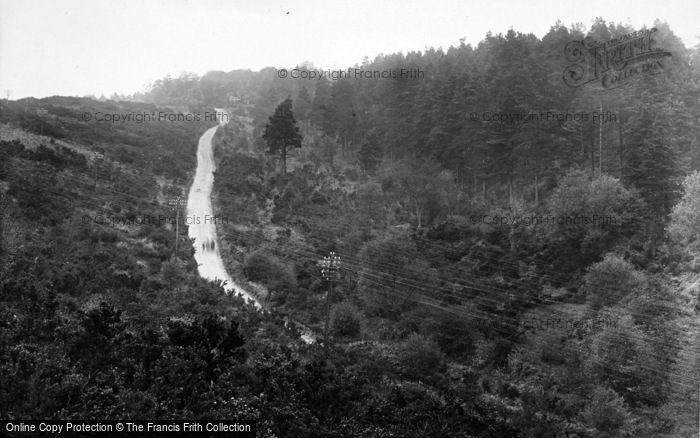 Photo of Bramshott, The Chase 1925