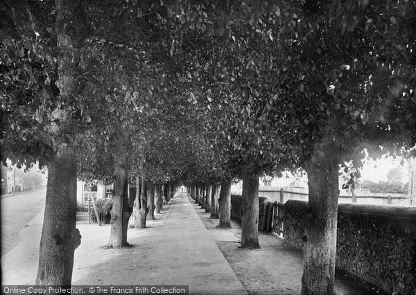 Photo of Brandon, The Avenue 1925