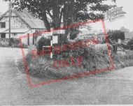 The Village c.1955, Branxton