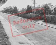 The Village c.1955, Branxton