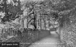 The Groves Leading To Cathedral c.1955, Brecon