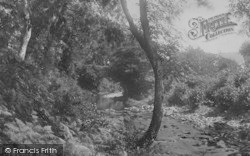 View Up Stream 1900, Brendon