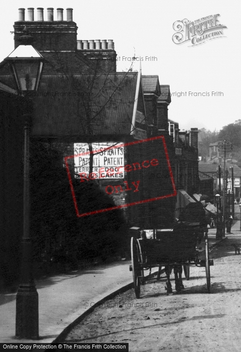 Photo of Brentwood, A Horse Carriage On Warley Road 1906