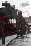 A Horse Carriage On Warley Road 1906, Brentwood