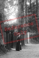 Honey Pot Lane 1906, Brentwood