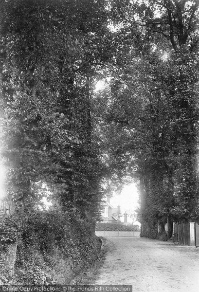Photo of Brentwood, Honey Pot Lane 1907