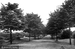 Shenfield Common Avenue 1921, Brentwood