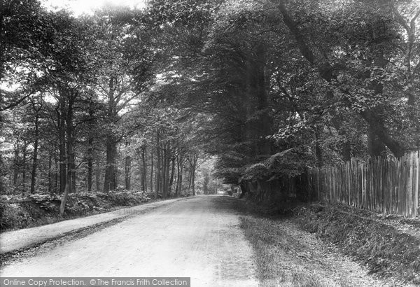 Photo of Brentwood, The Avenue 1903