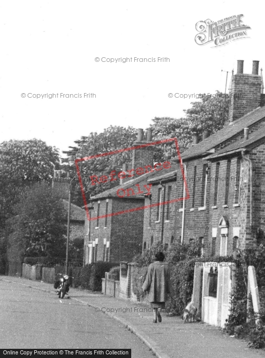 Photo of Brentwood, Warley Hill, Dog Walking c.1955