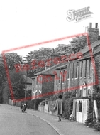 Warley Hill, Dog Walking c.1955, Brentwood
