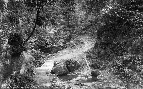 Photo of Bridge Of Allan, Cockburnspath Woods 1899