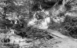 Cockburnspath Woods 1899, Bridge Of Allan